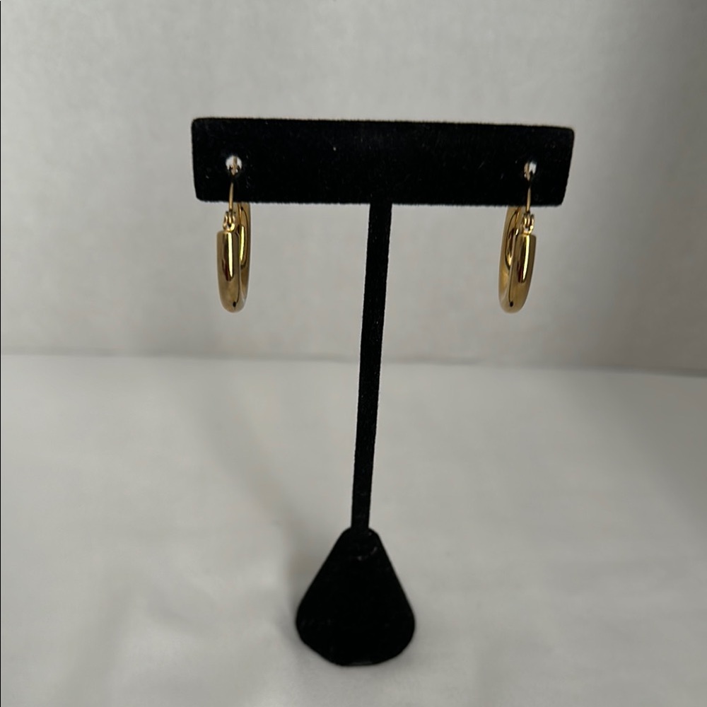 Elegant Gold Hoop Earrings